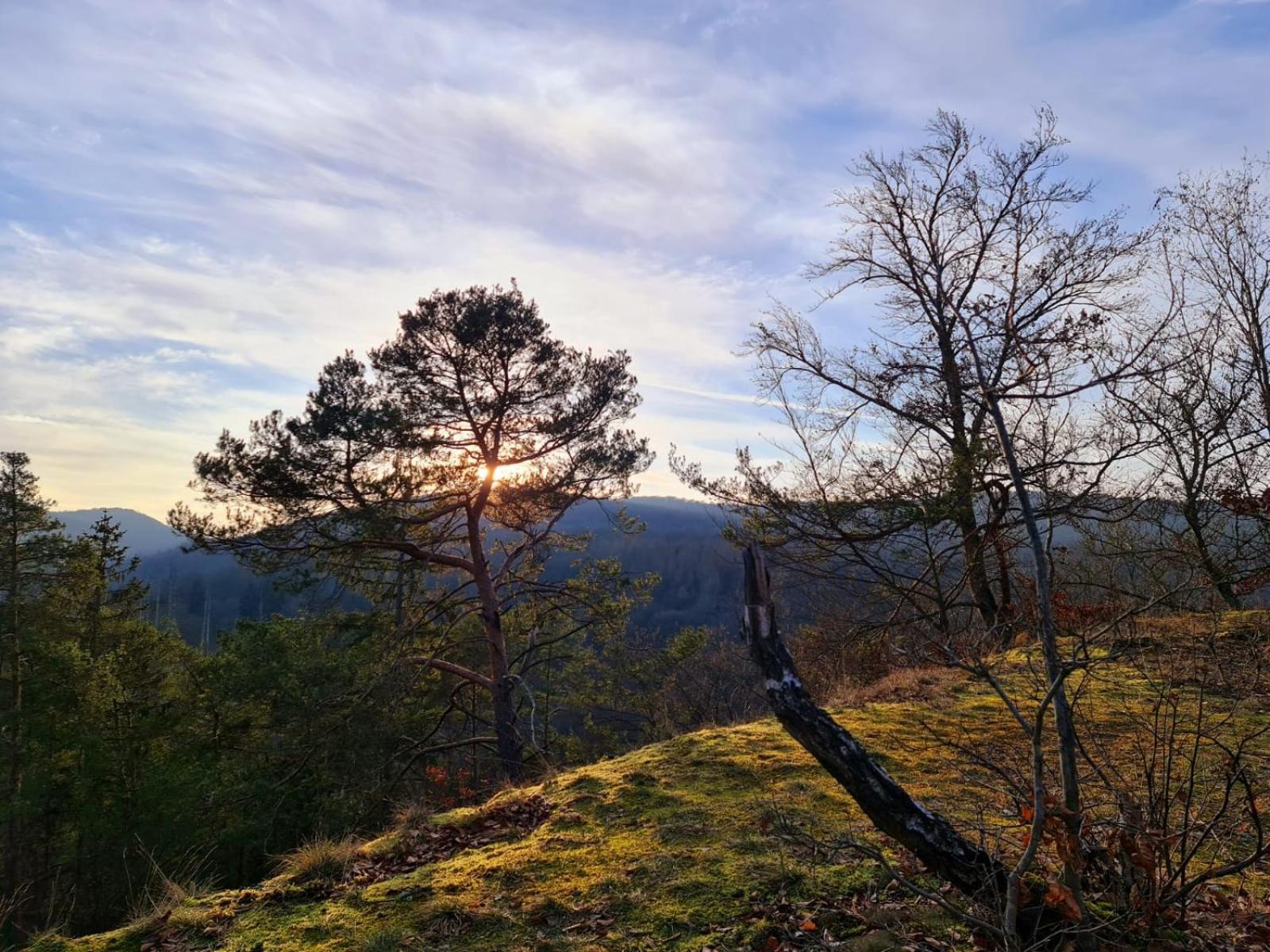 Ferienhaus Schoene Aussicht Ferienwohnung Gelb Hemfurth-Edersee Εξωτερικό φωτογραφία